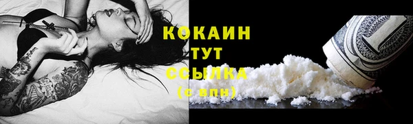 СК Бородино